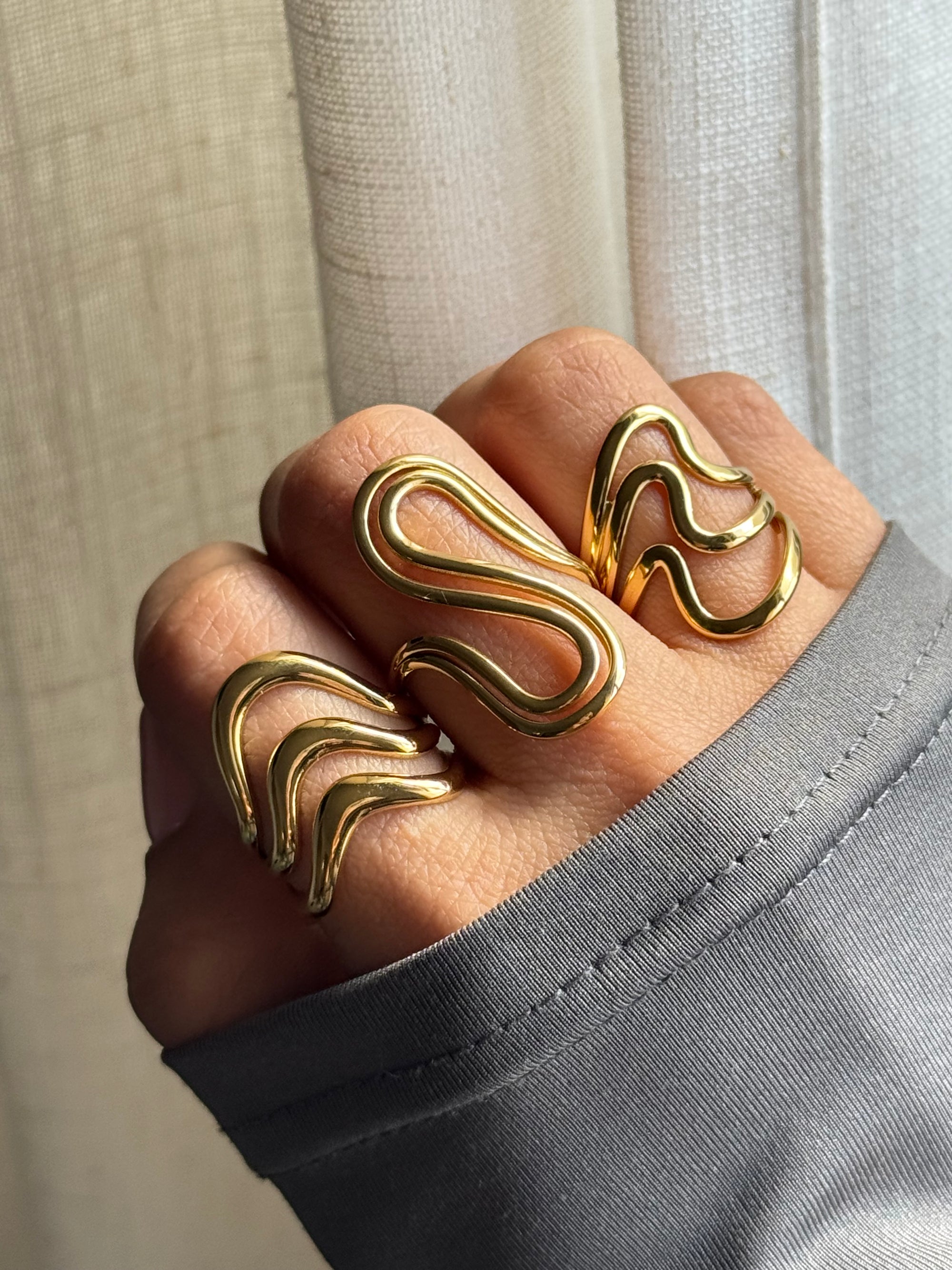 Anillo Social