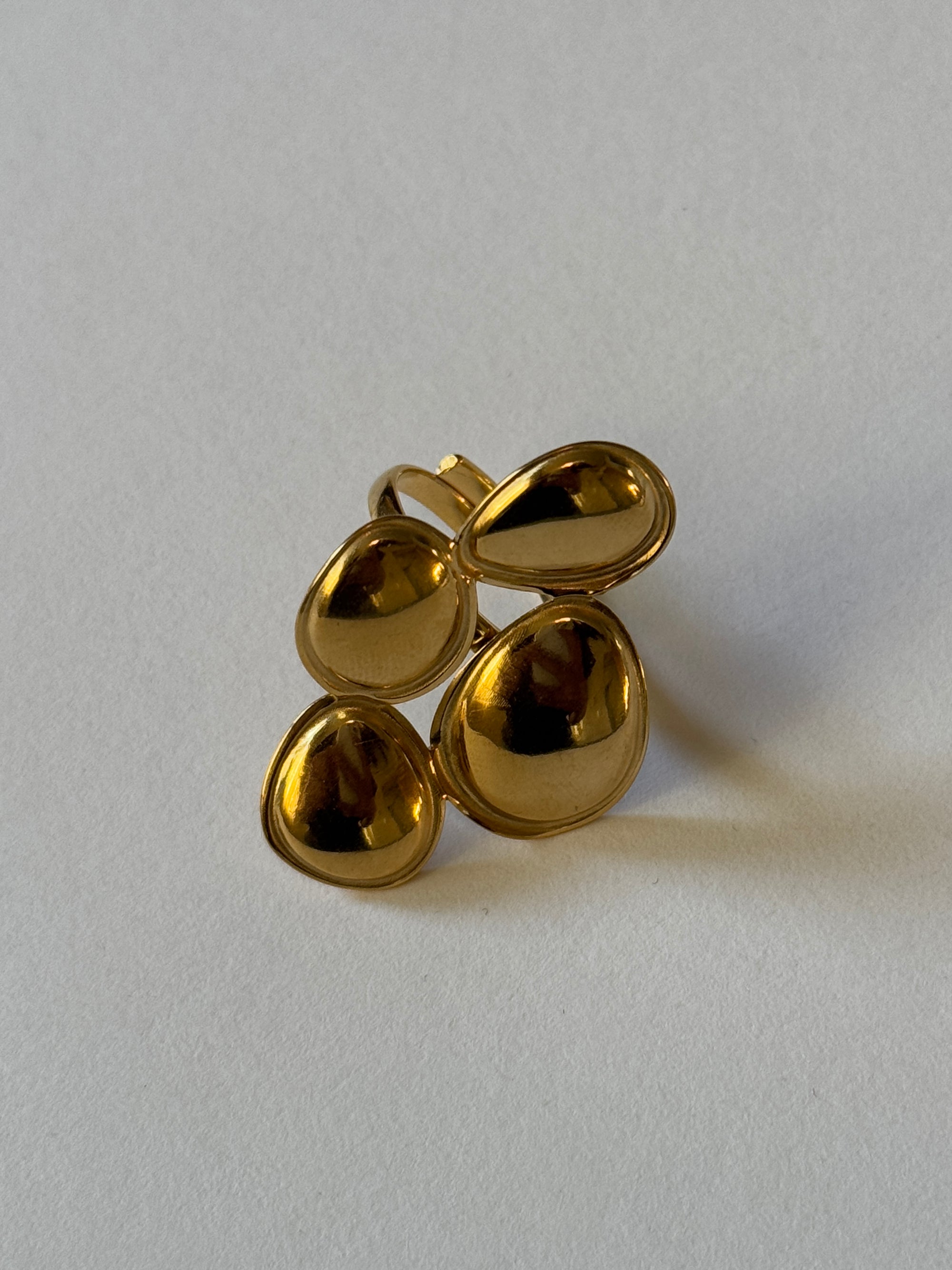 Anillo Leland