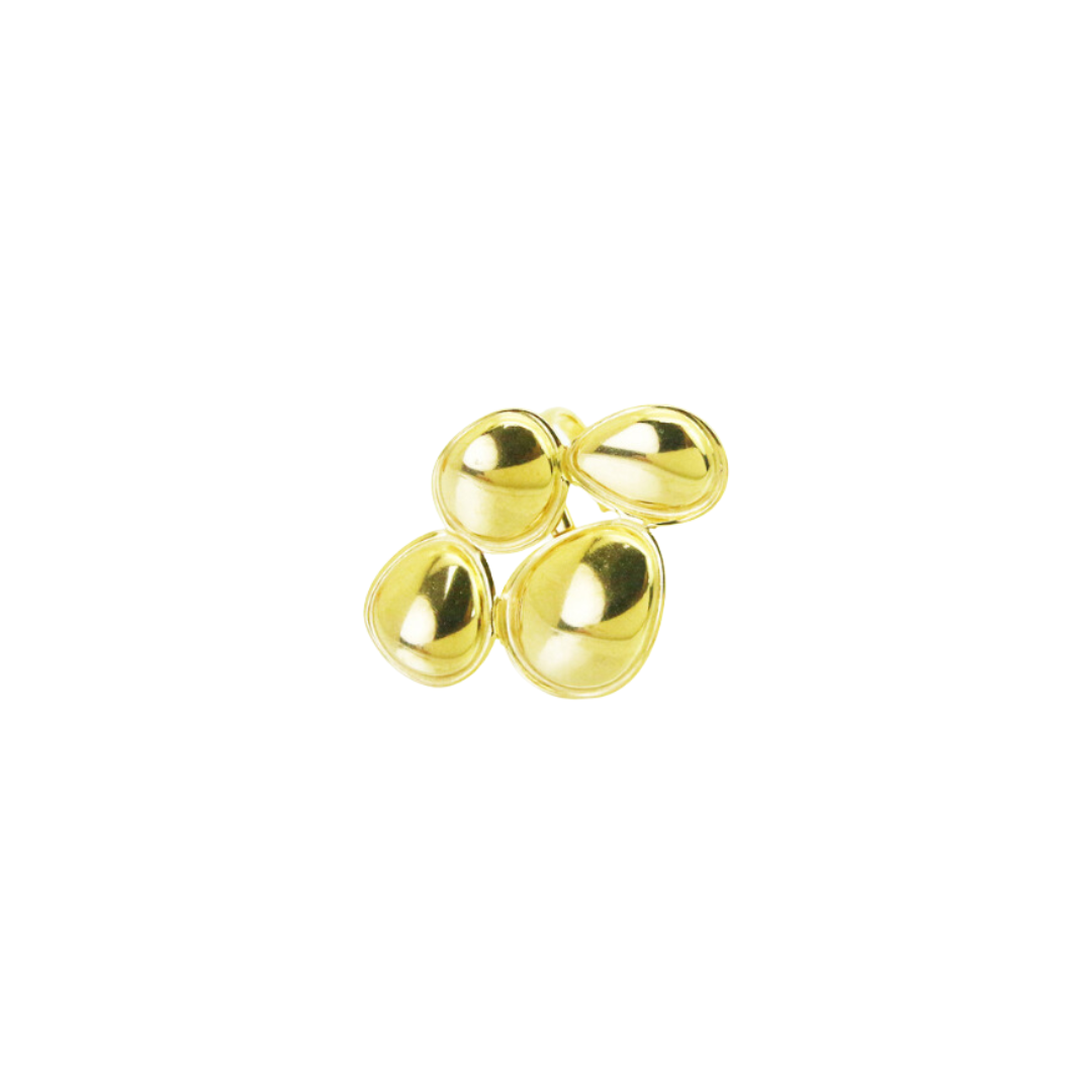 Anillo Leland