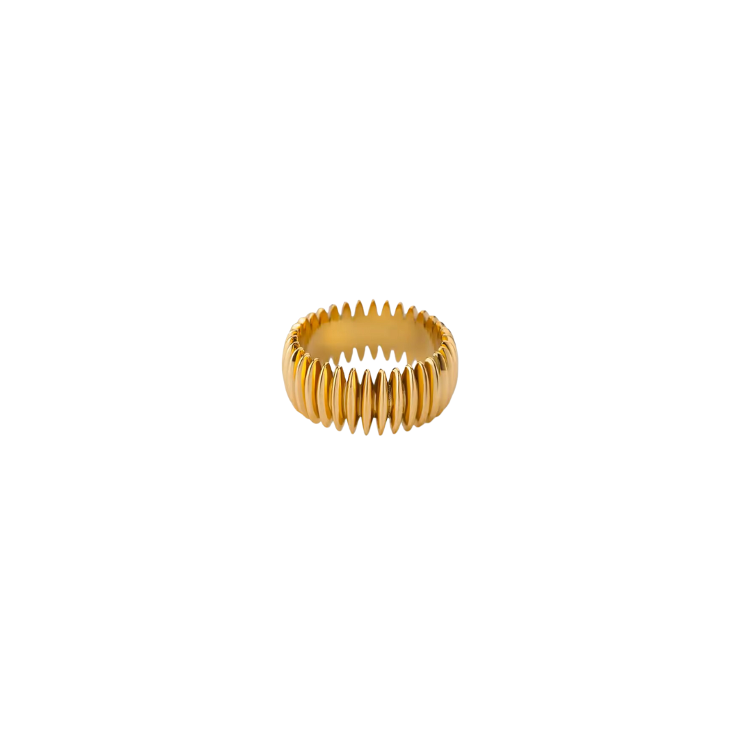 Anillo Frank