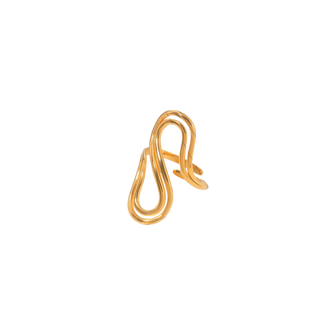 Anillo Social