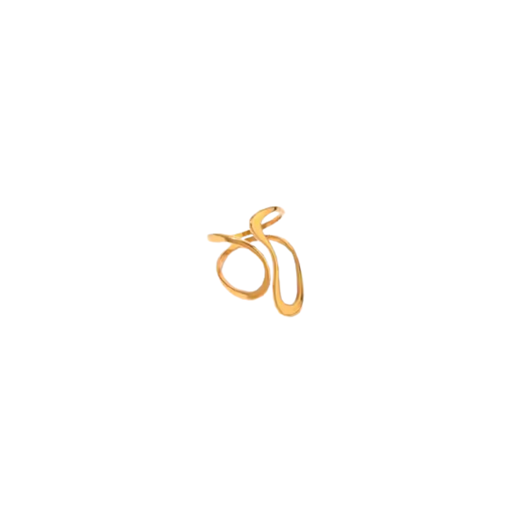 Anillo Arlo