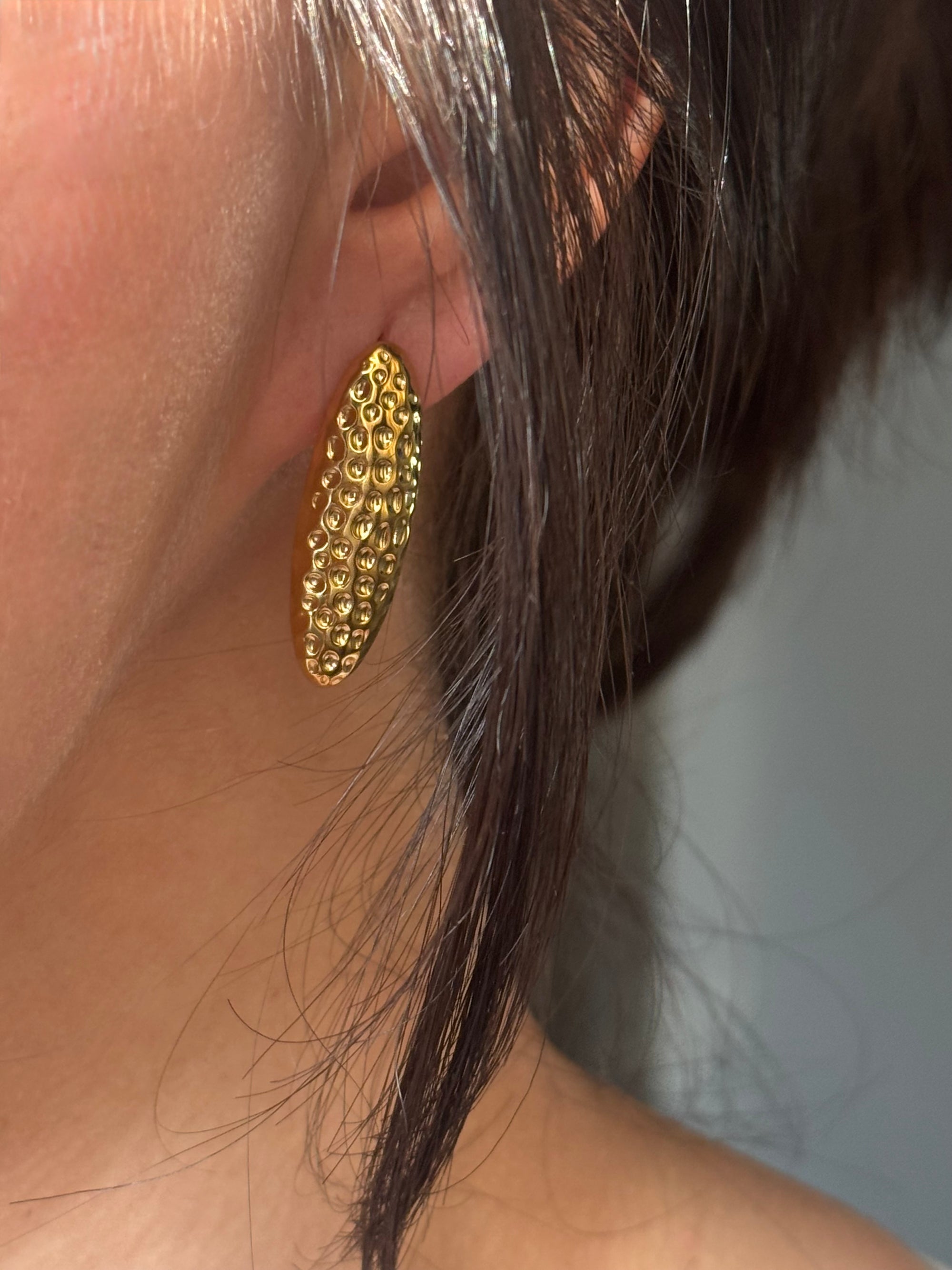 Aretes Canela