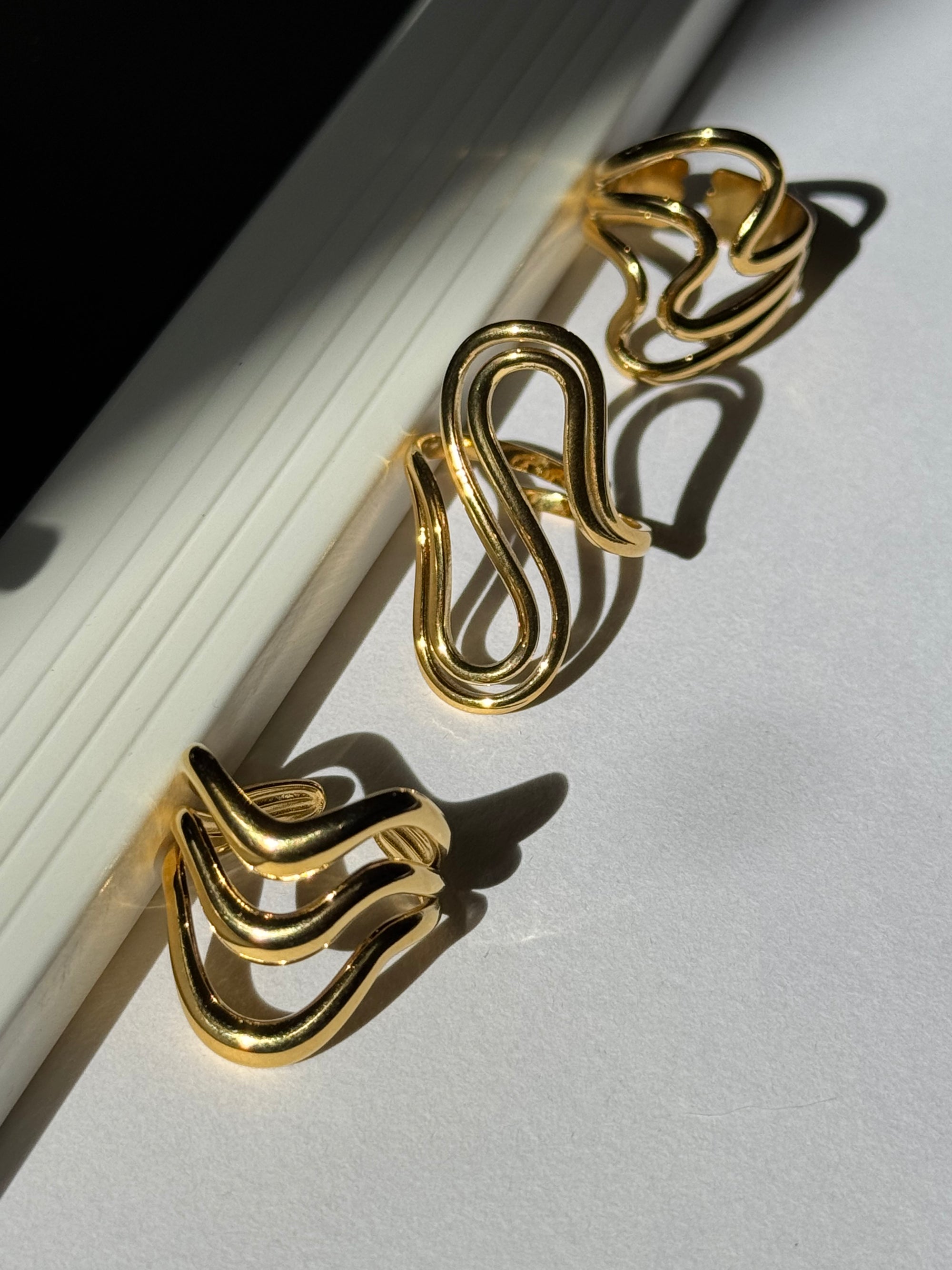 Anillo Social