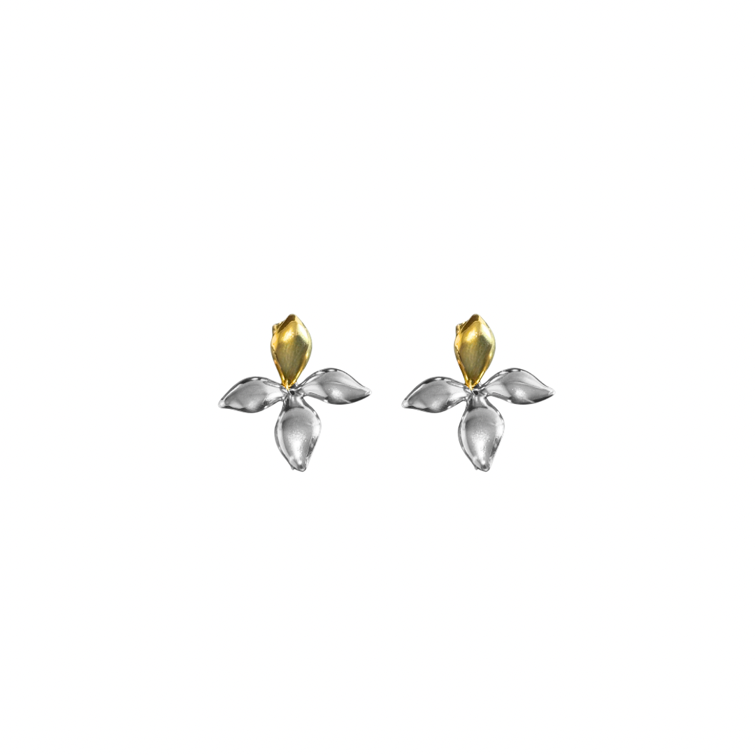 Aretes Elara Mixed