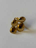 Anillo Leland