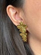 Aretes Spring 1