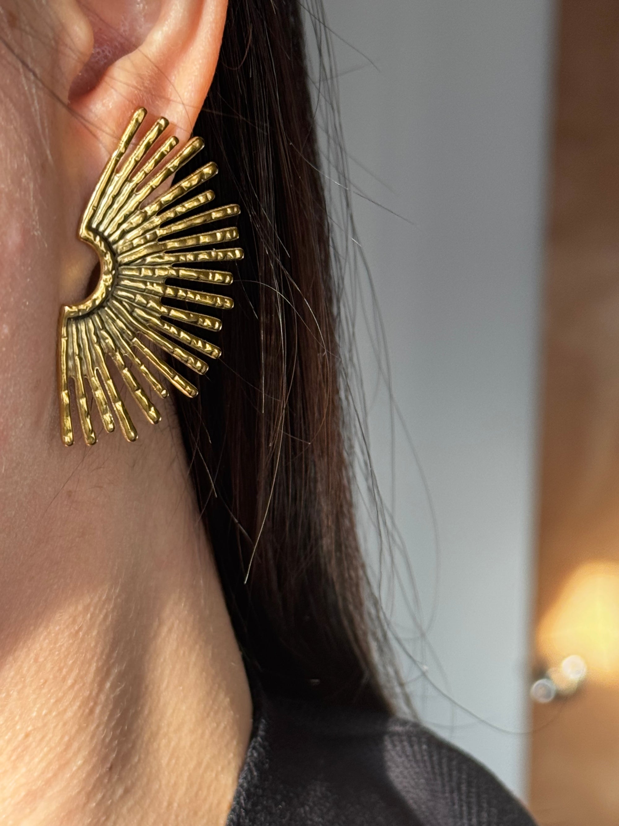 Aretes Ever