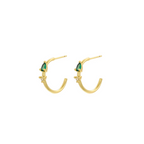 Aretes Wren
