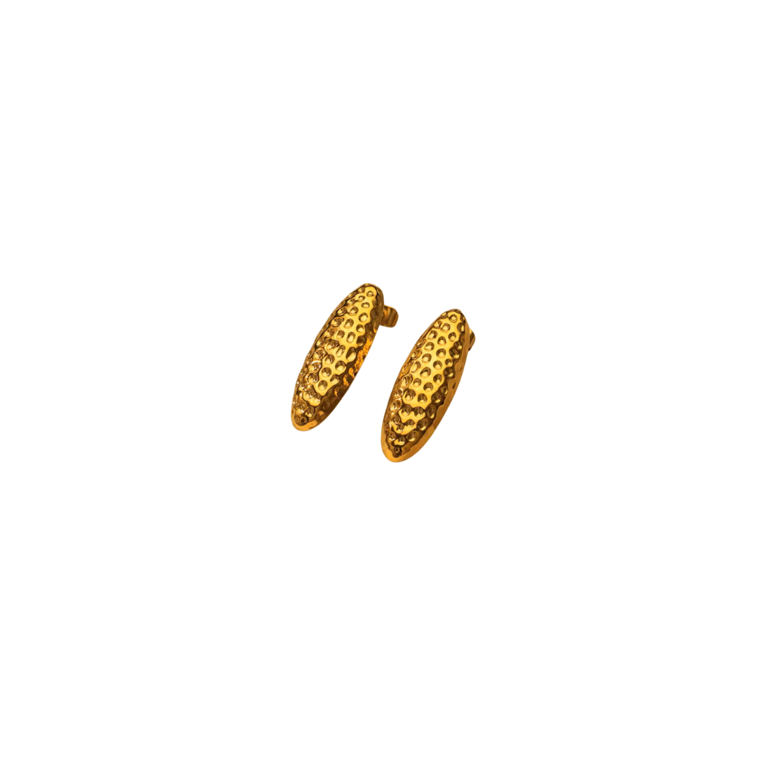 Aretes Canela