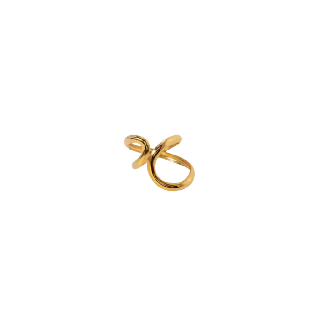 Anillo Chip