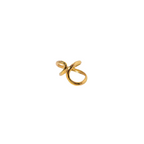 Anillo Chip