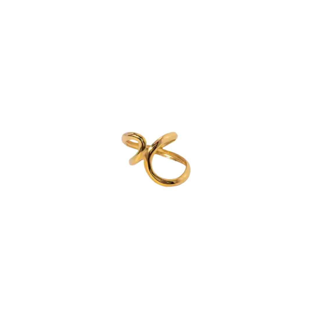 Anillo Chip