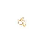 Anillo Arlo