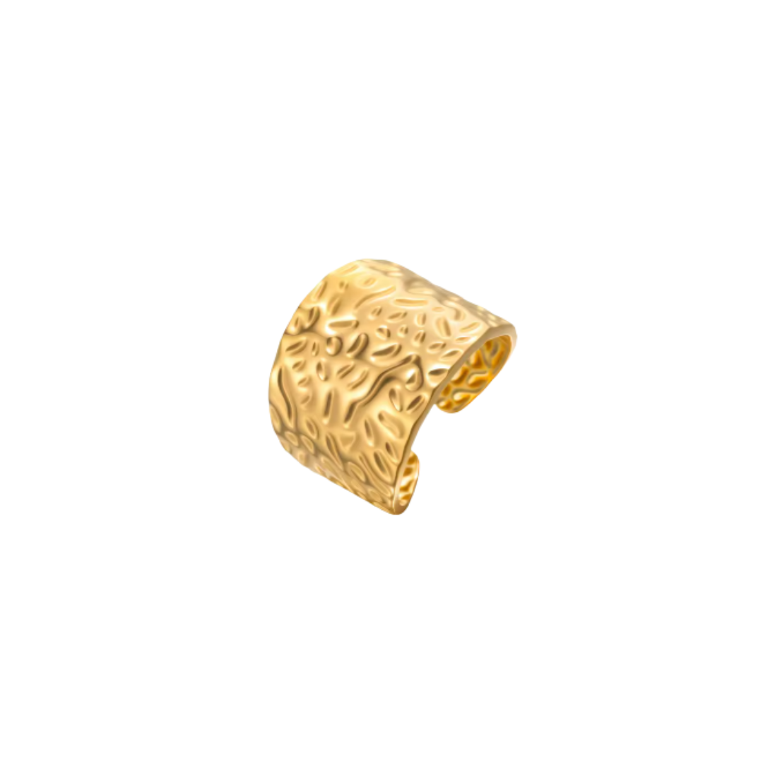 Anillo Boreal