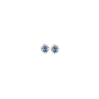 Aretes Royal Blue Studs