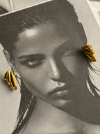 Aretes Wings II