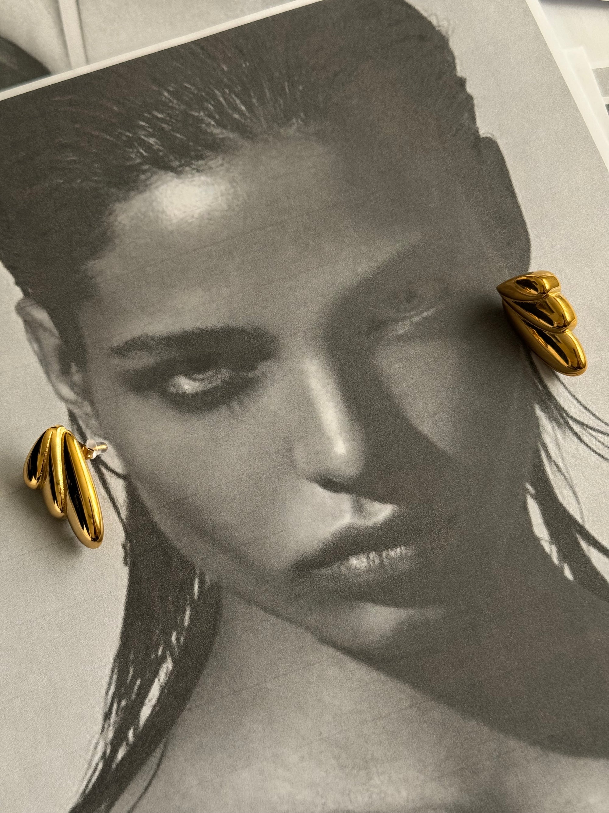 Aretes Wings II