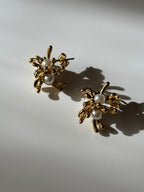 Aretes Sunna