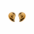 Aretes Sea Shell