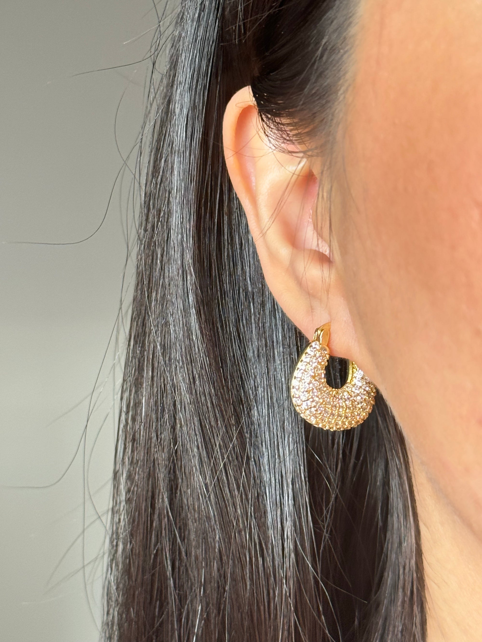 Aretes Palmer