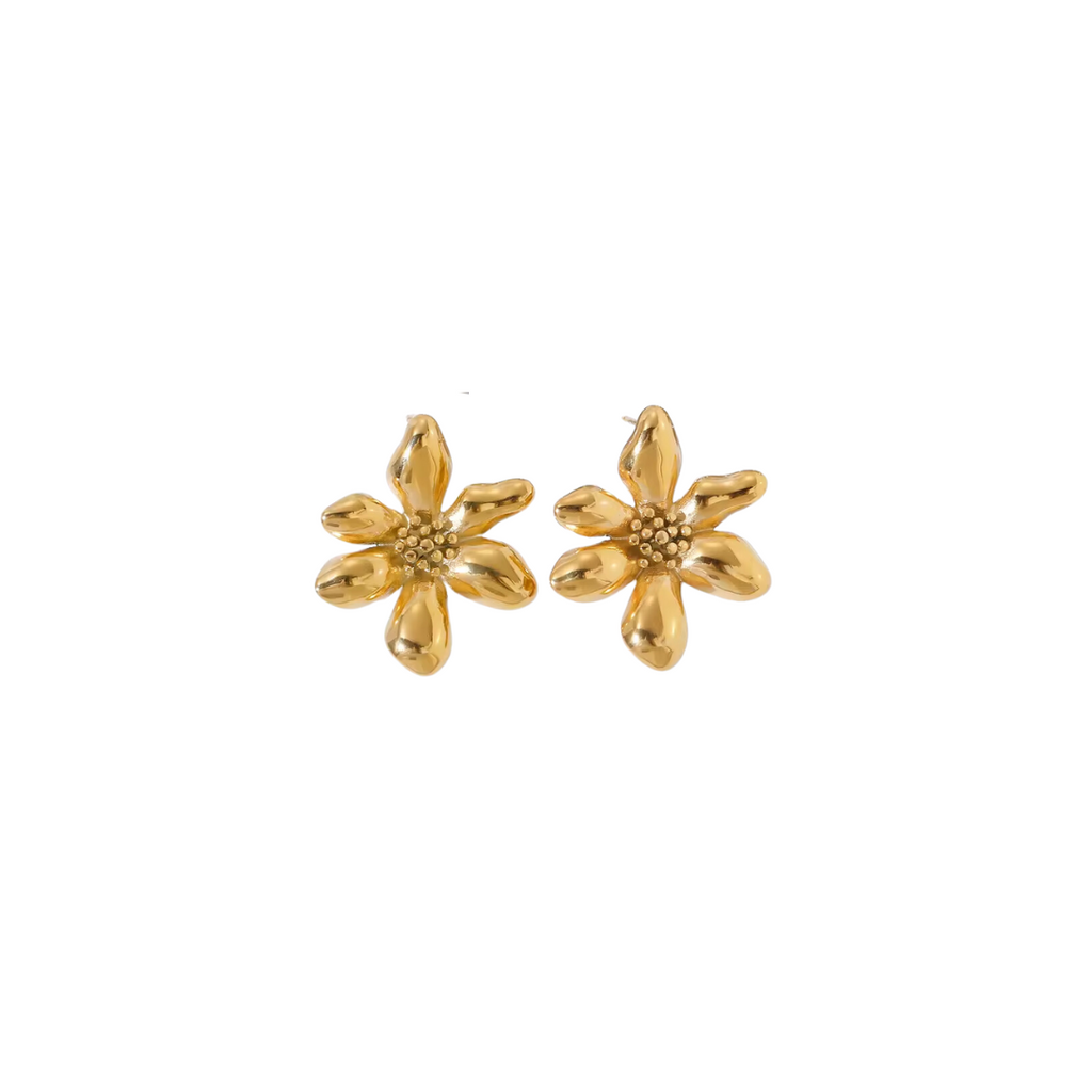 Aretes Biella