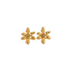Aretes Biella
