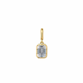 Emerald Cut Charm