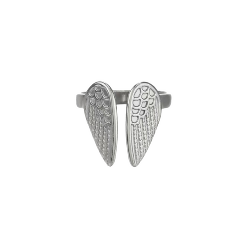 Anillo Alas