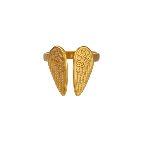 Anillo Alas