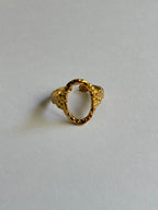 Anillo Halo