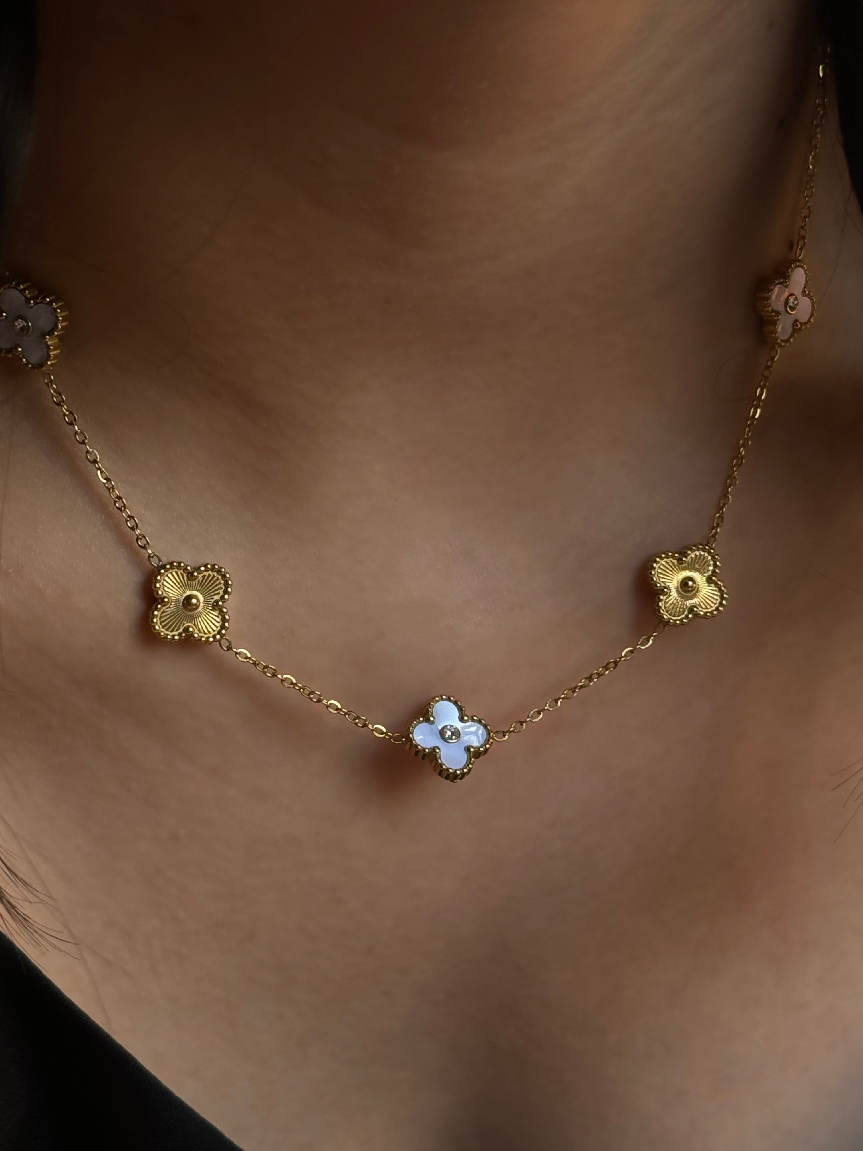 Collar Gambit Bicolor