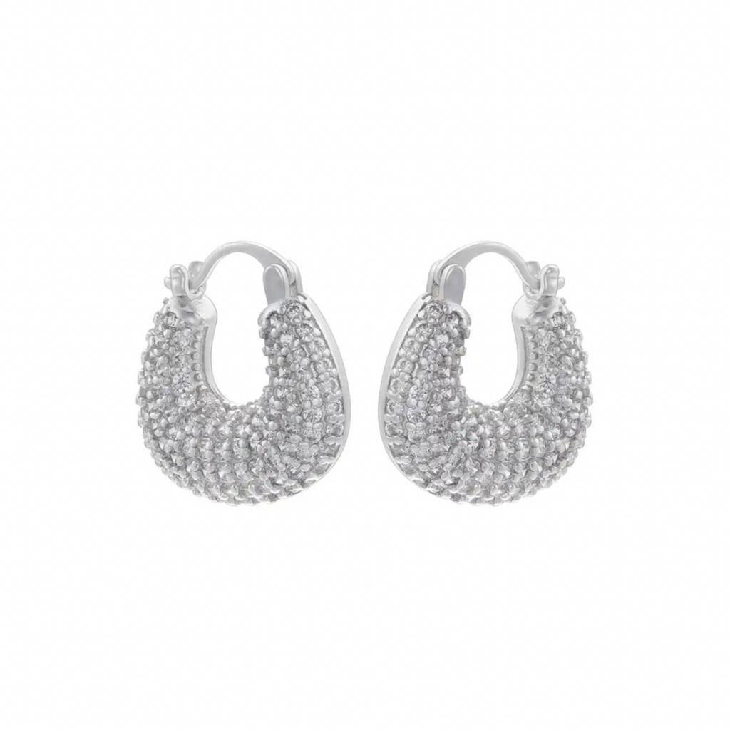 Aretes Palmer