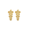 Aretes Spring