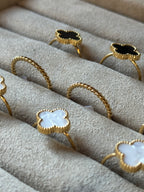 Anillos Gambit