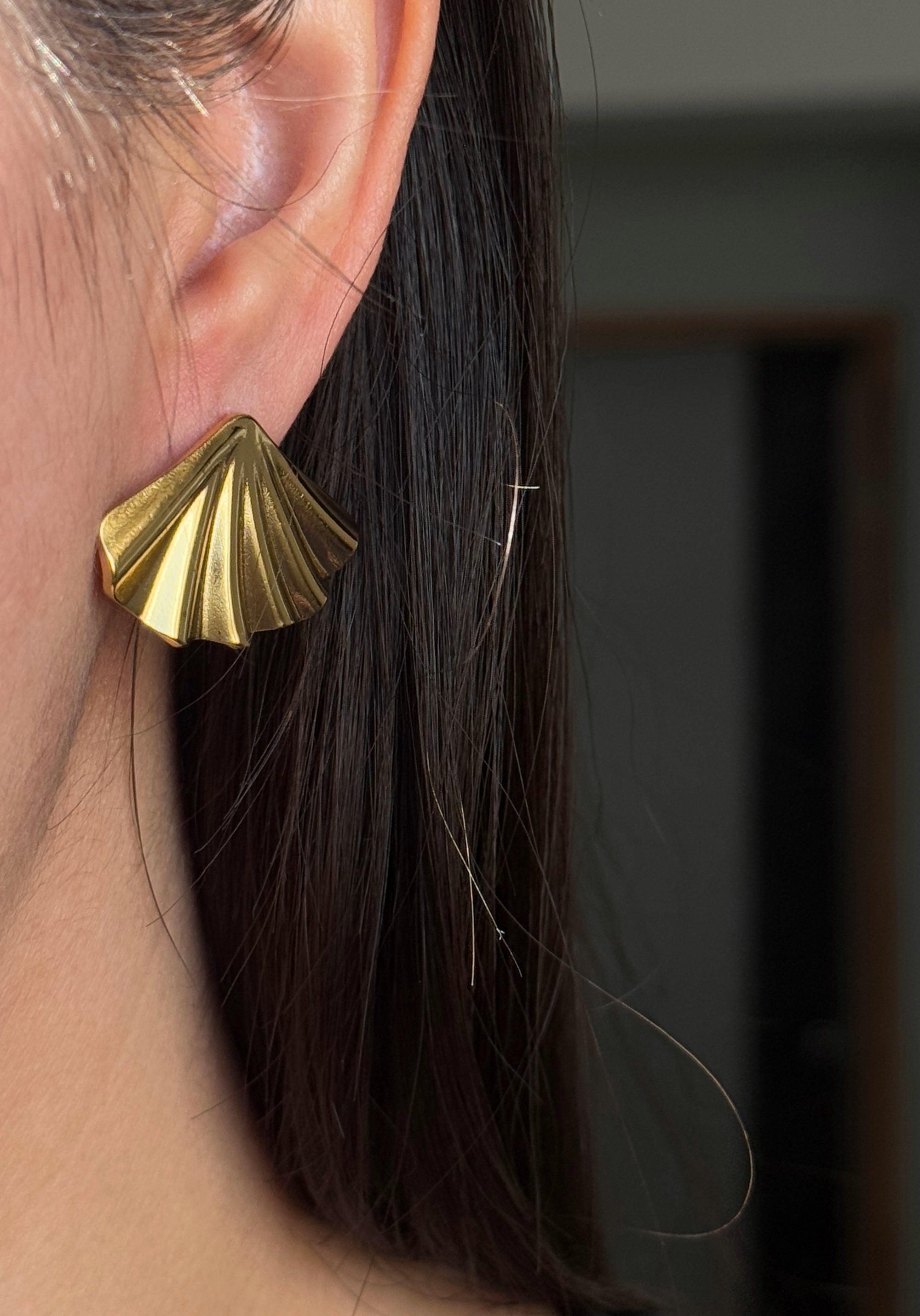 Aretes Mills