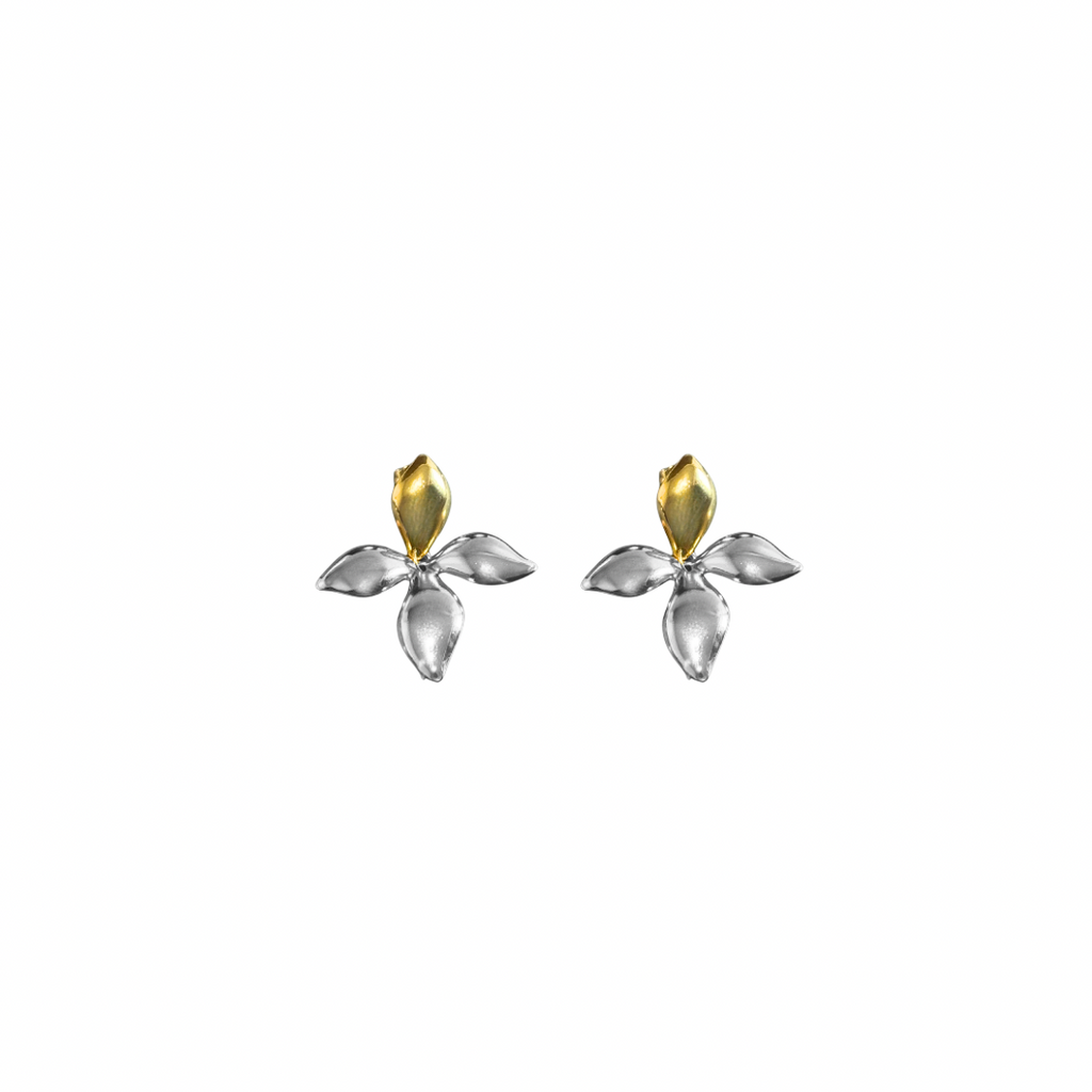 Aretes Elara Mixed