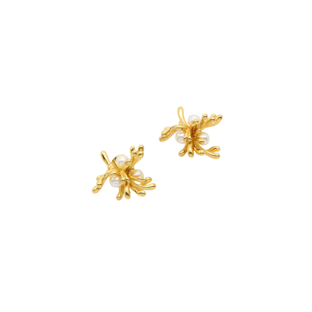 Aretes Sunna