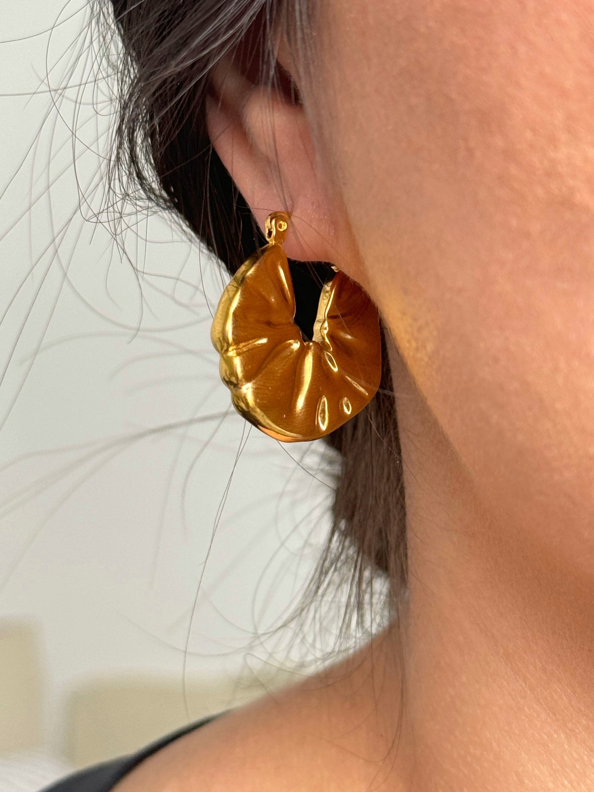 Aretes Emilia