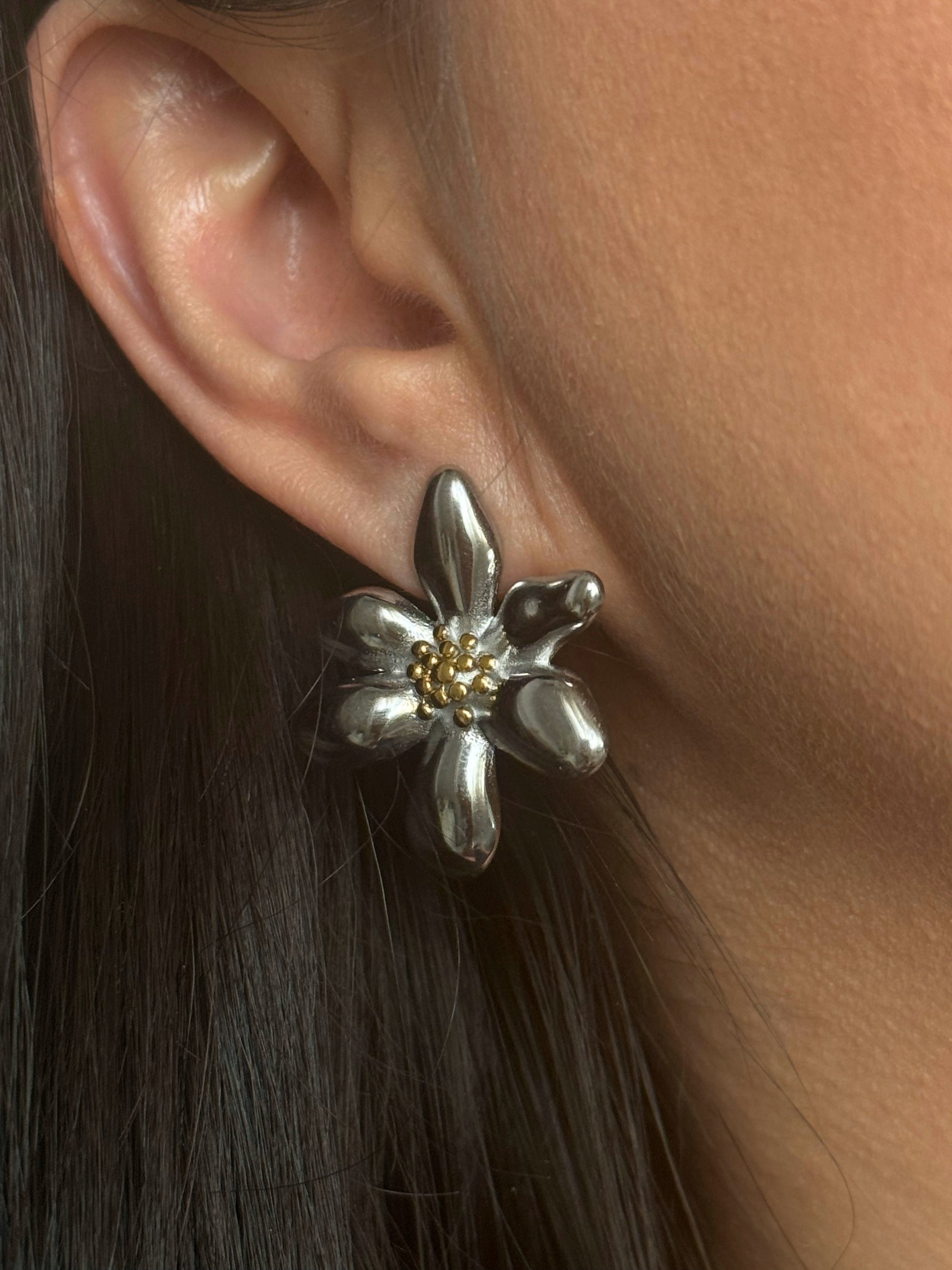 Aretes Biella