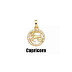 Pave Zodiac